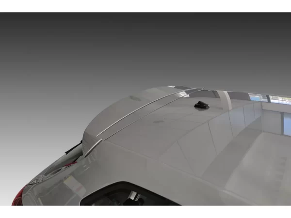 Seat Ibiza MK5 (6F) - Dakspoiler